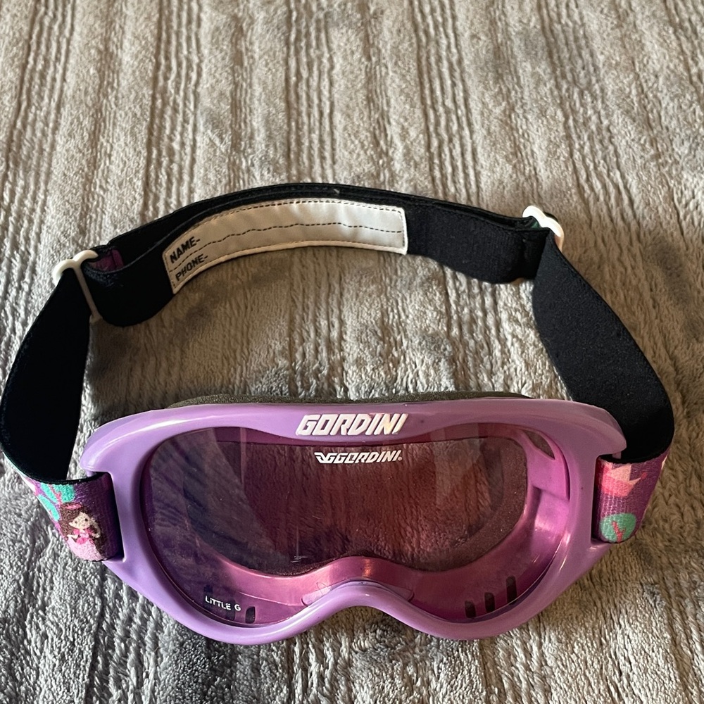 Gordini Purple Ski Goggles